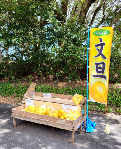 buntan ブンタン - im Straßenverkauf