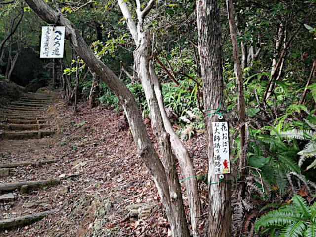 henro korogashi zu Tempel 12, auf dem Weg